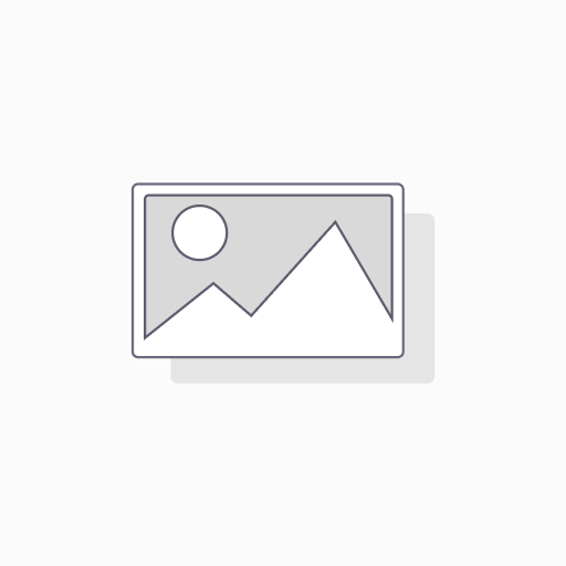 Internet Domain Registration/Reregistration